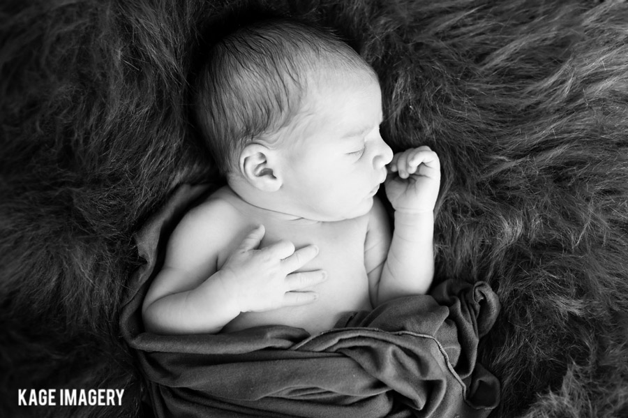 Brandon’s Newborn Photos | Twin Cities Family Photography
